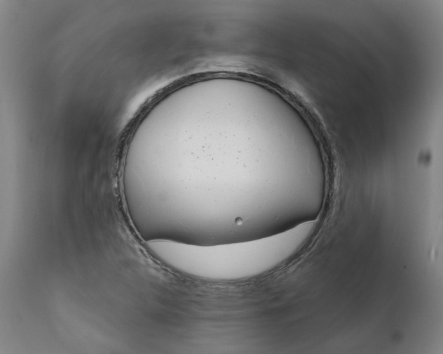 X0000111621312200907311153