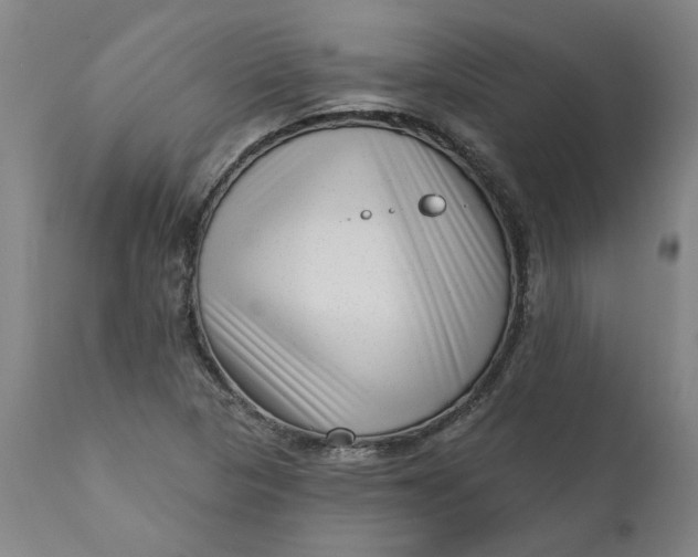 X0000111621313200907311153
