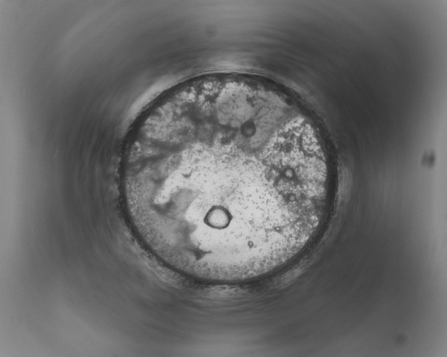 X0000111621314200907311153