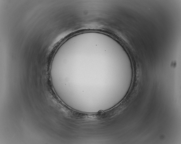 X0000111621315200907311153