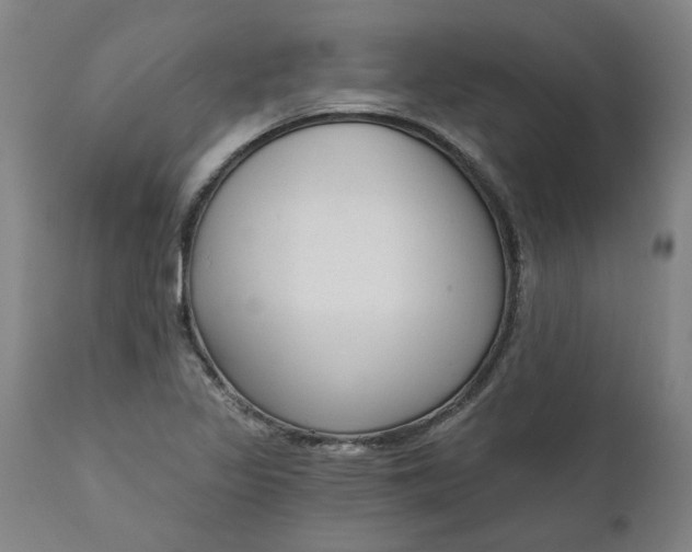 X0000111621317200907311153