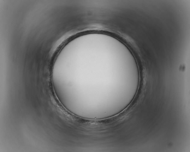 X0000111621318200907311153