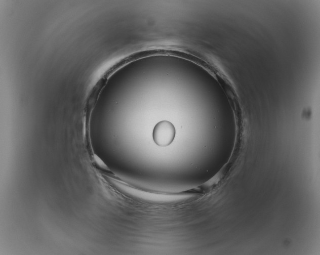X0000111621320200907311153
