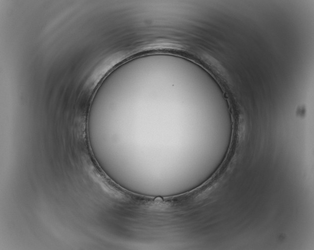 X0000111621321200907311153