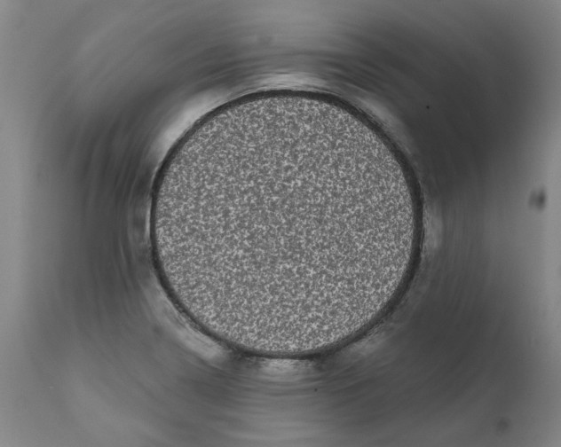 X0000111621322200907311153