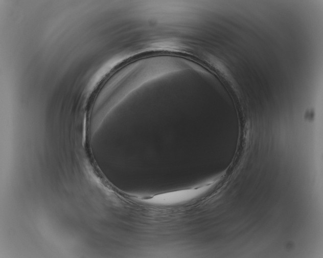 X0000111621323200907311153
