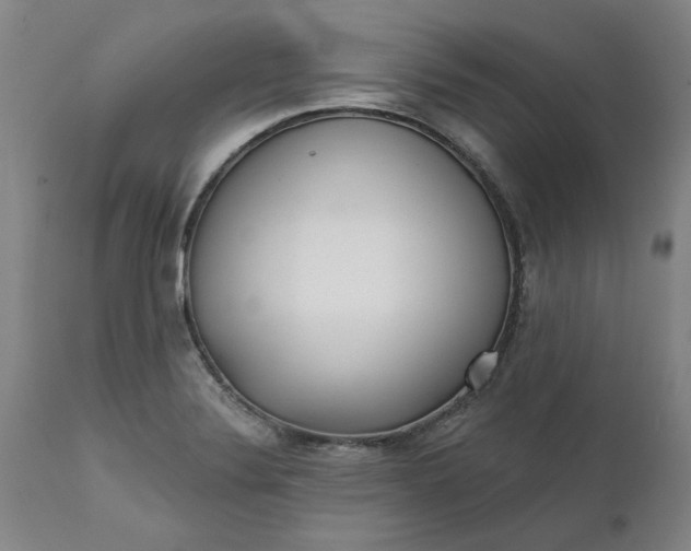 X0000111621324200907311153