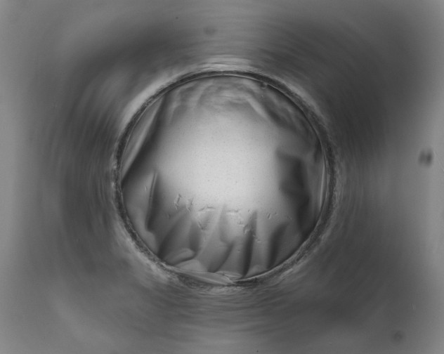 X0000111621325200907311153