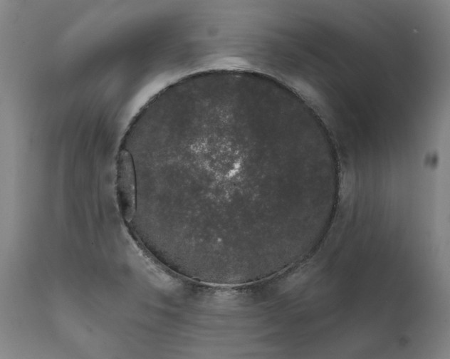 X0000111621326200907311153