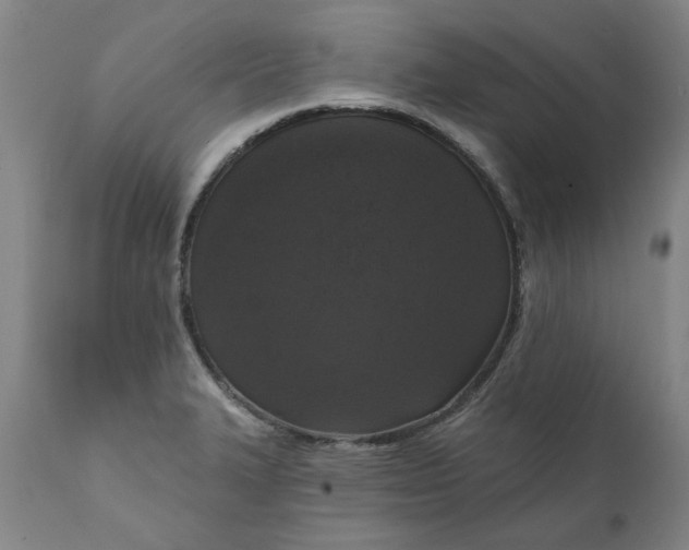 X0000111621327200907311153