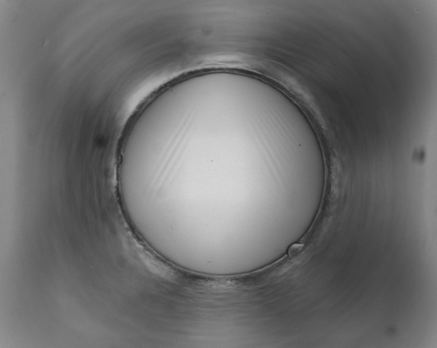 X0000111621328200907311153
