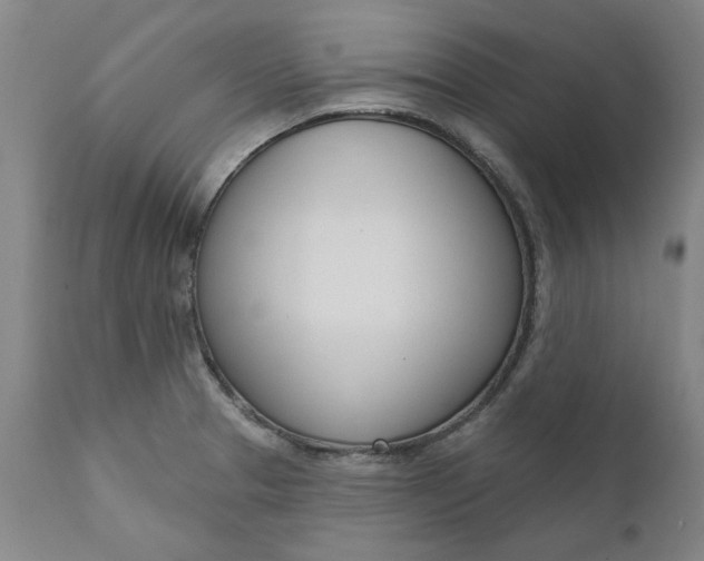 X0000111621329200907311154