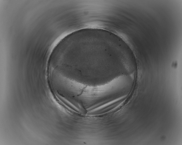X0000111621331200907311154