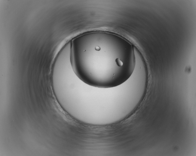 X0000111621332200907311154