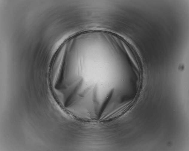 X0000111621333200907311154