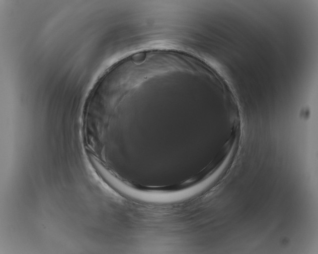 X0000111621334200907311154