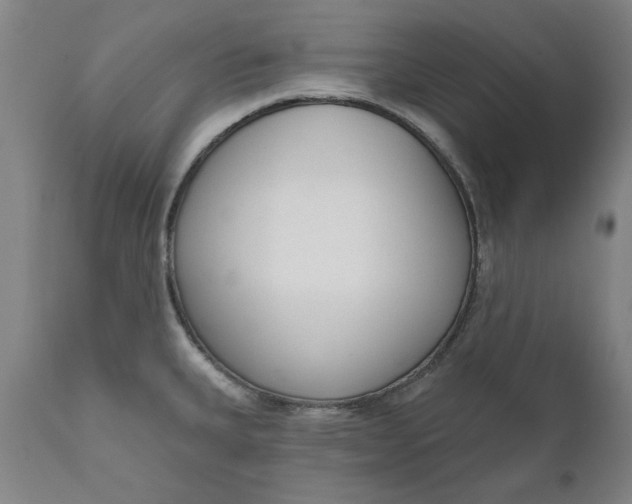 X0000111621335200907311154