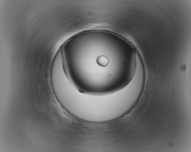 X0000111621336200907311154