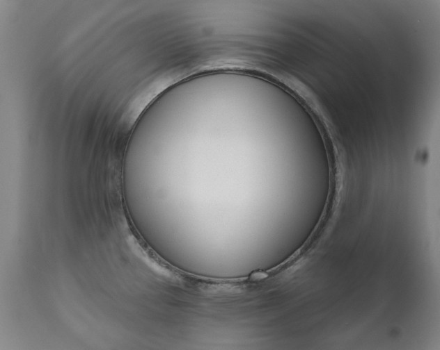 X0000111621337200907311154