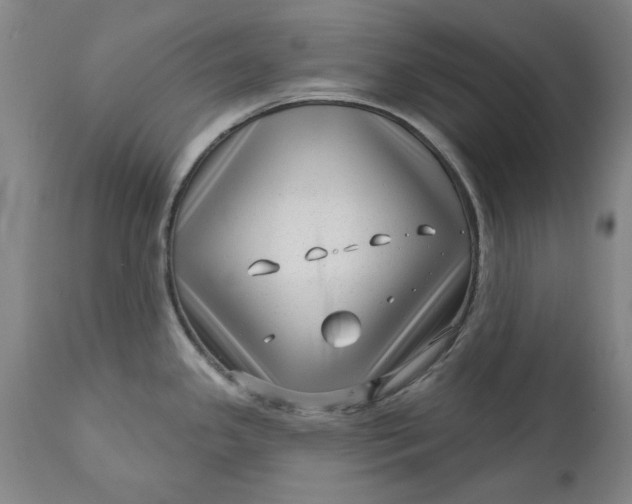 X0000111621341200907311154