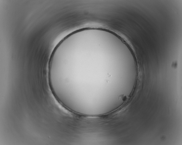 X0000111621343200907311154