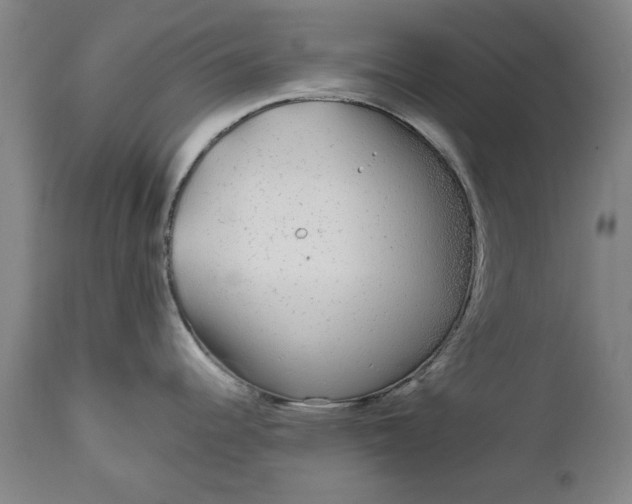 X0000111621344200907311154