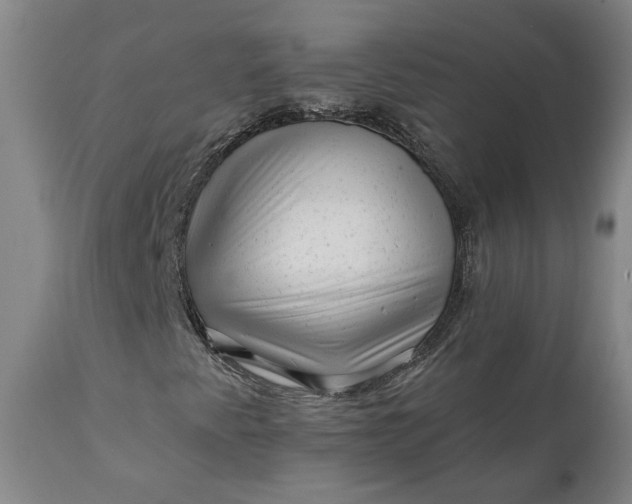 X0000111621345200907311153