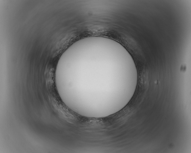 X0000111621346200907311153
