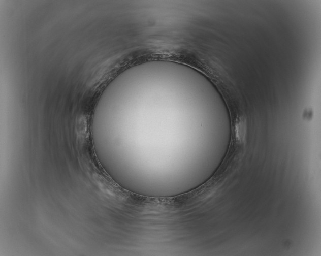 X0000111621347200907311153
