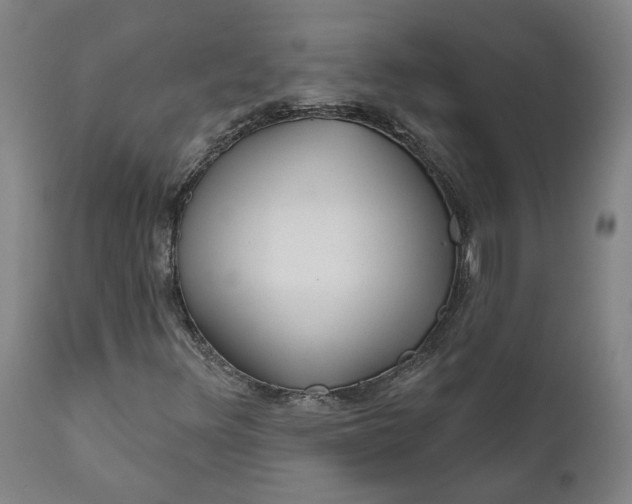 X0000111621348200907311153