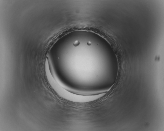 X0000111621349200907311153