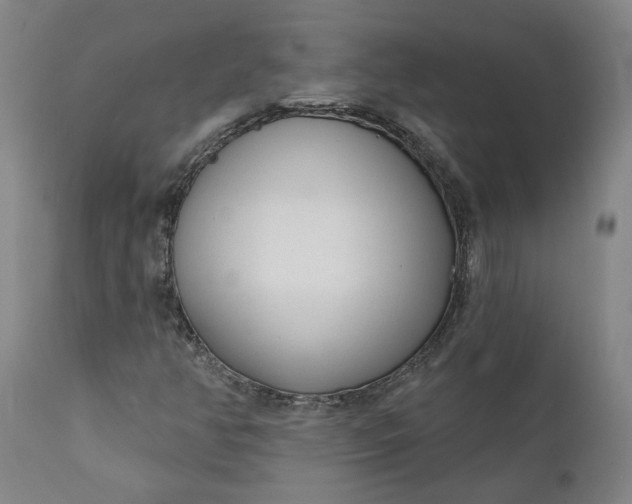 X0000111621350200907311153