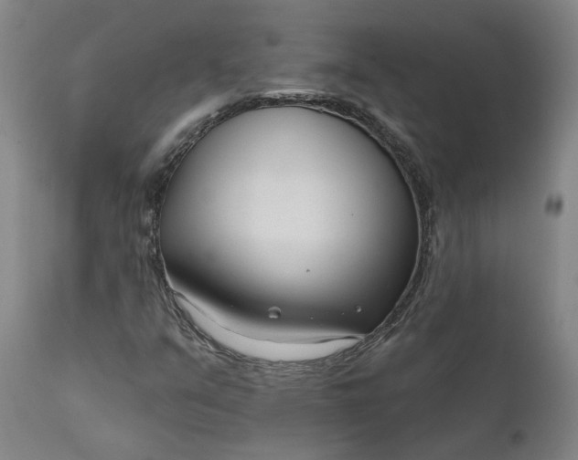 X0000111621351200907311153