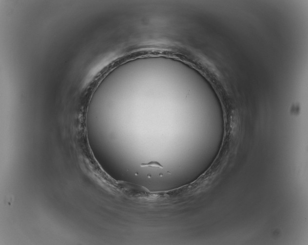 X0000111621352200907311153