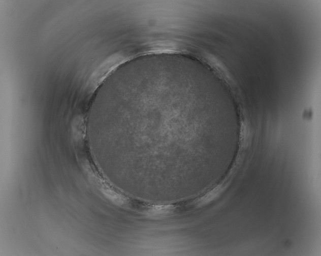 X0000111621353200907311153