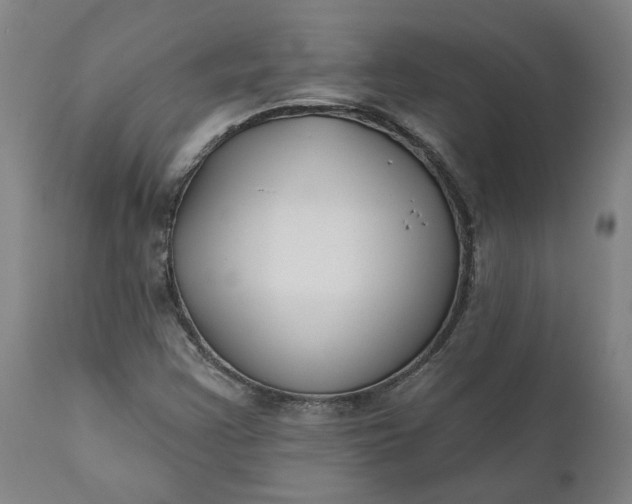 X0000111621355200907311153