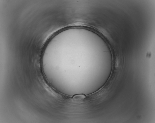 X0000111621356200907311153