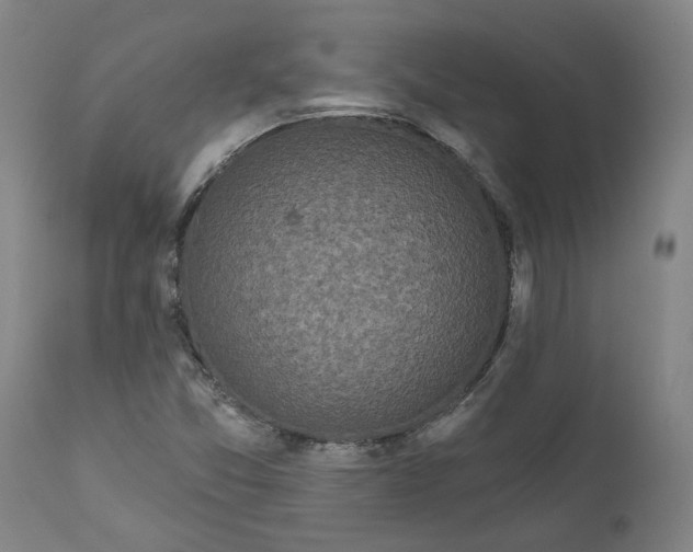 X0000111621357200907311153
