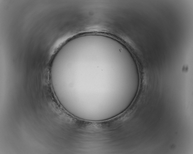 X0000111621358200907311153