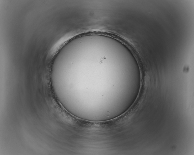 X0000111621359200907311153