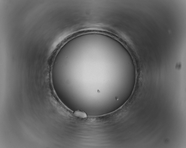 X0000111621360200907311153