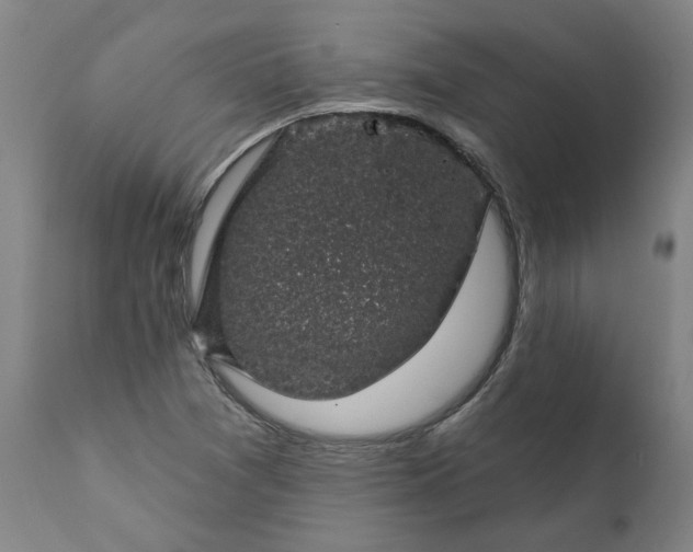 X0000111621361200907311153