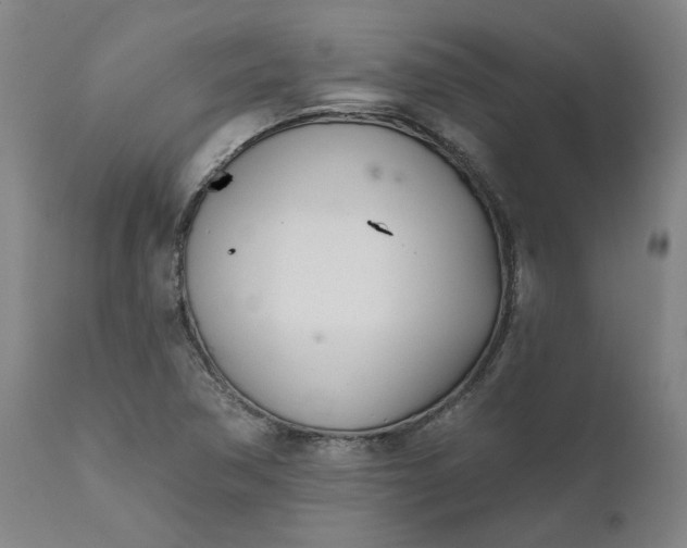 X0000111621362200907311153