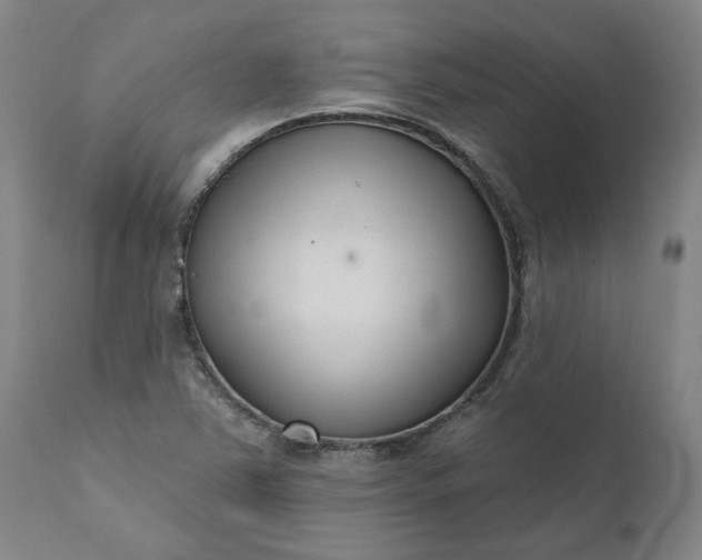 X0000111621363200907311153