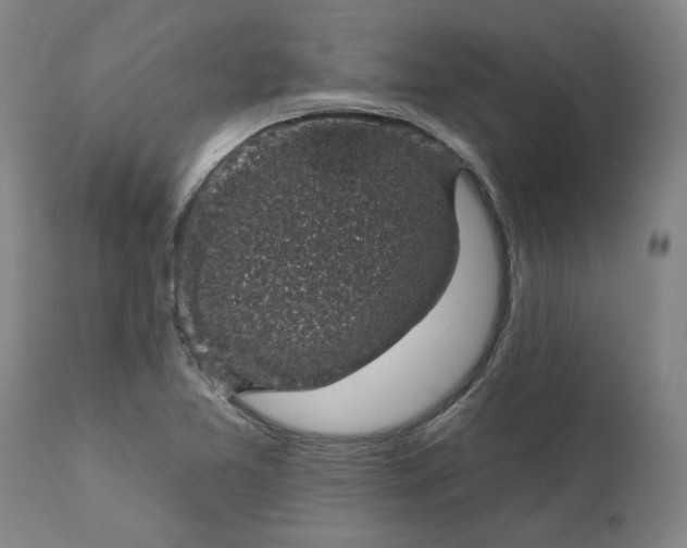 X0000111621365200907311153