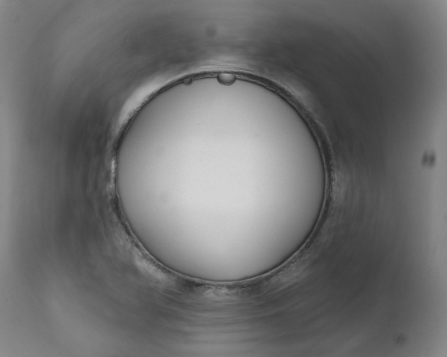 X0000111621366200907311153