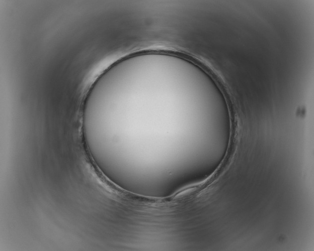 X0000111621367200907311153