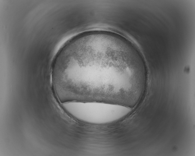 X0000111621368200907311152