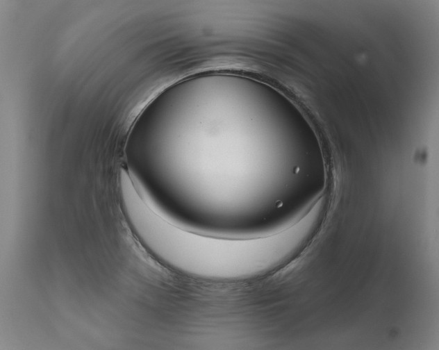 X0000111621369200907311152