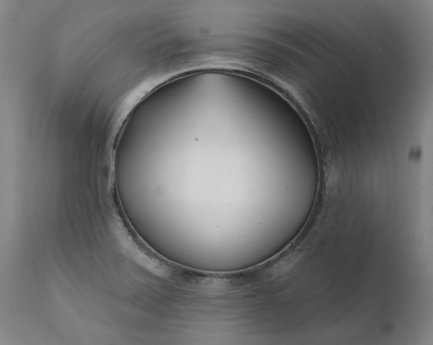 X0000111621371200907311152